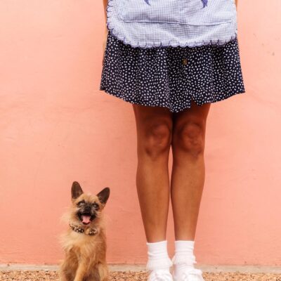 Guía ABC para viajar con tu mascota